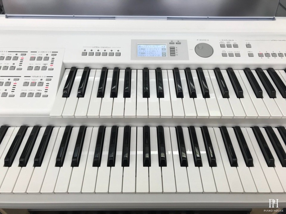 YAMAHA ELB-02 (New)