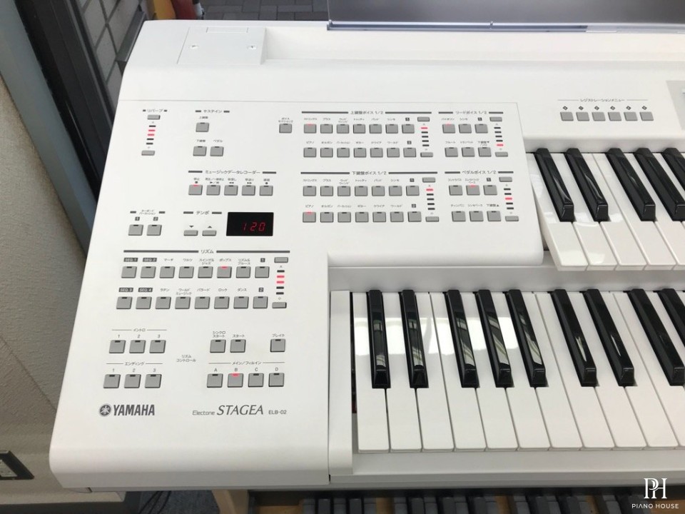 YAMAHA ELB-02 (New)