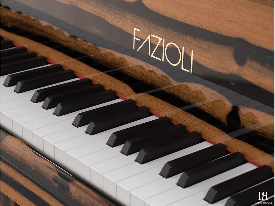 [SPECIAL] FAZIOLI EBONY BLACK & WHITE