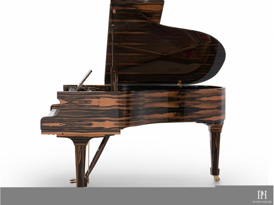 [SPECIAL] FAZIOLI EBONY BLACK & WHITE