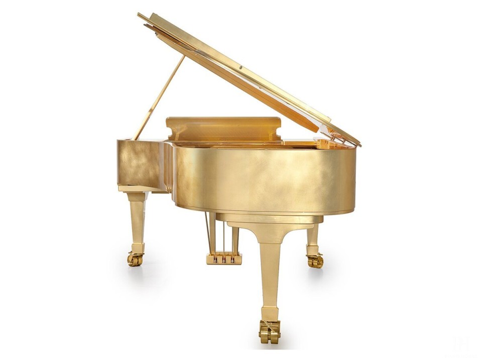 [SPECIAL] FAZIOLI GOLD LEAF