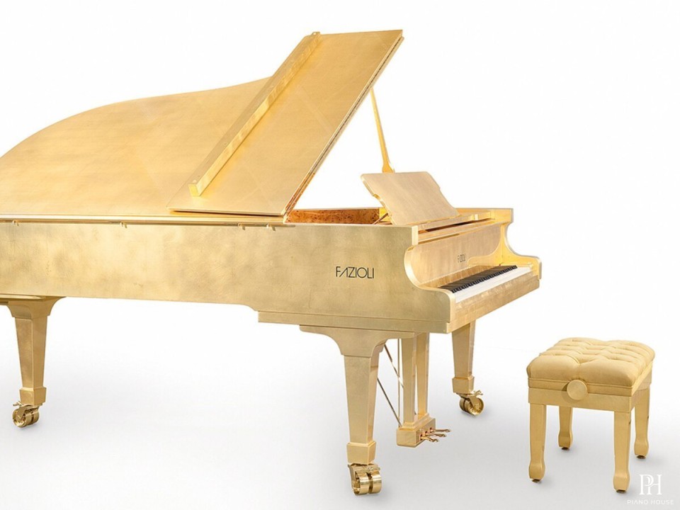 [SPECIAL] FAZIOLI GOLD LEAF