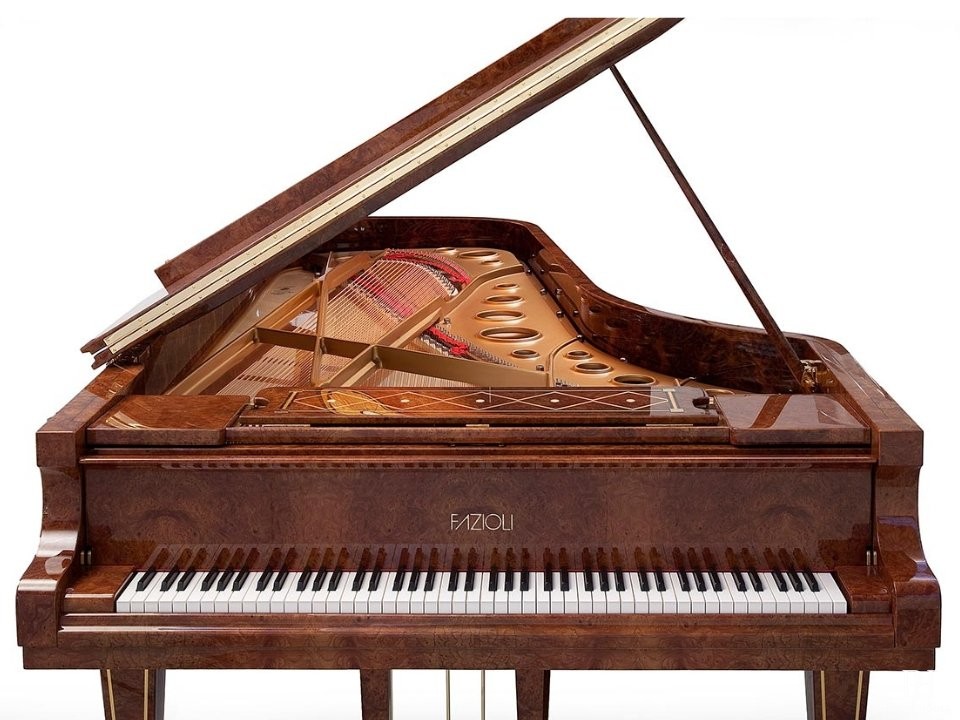 [SPECIAL] FAZIOLI Georgian Red ELM
