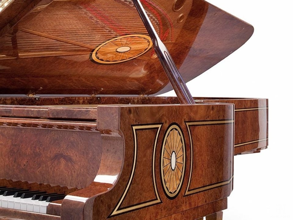 [SPECIAL] FAZIOLI Georgian Red ELM