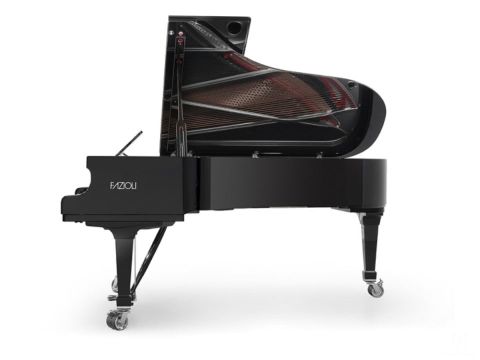 [SPECIAL] FAZIOLI SILVER