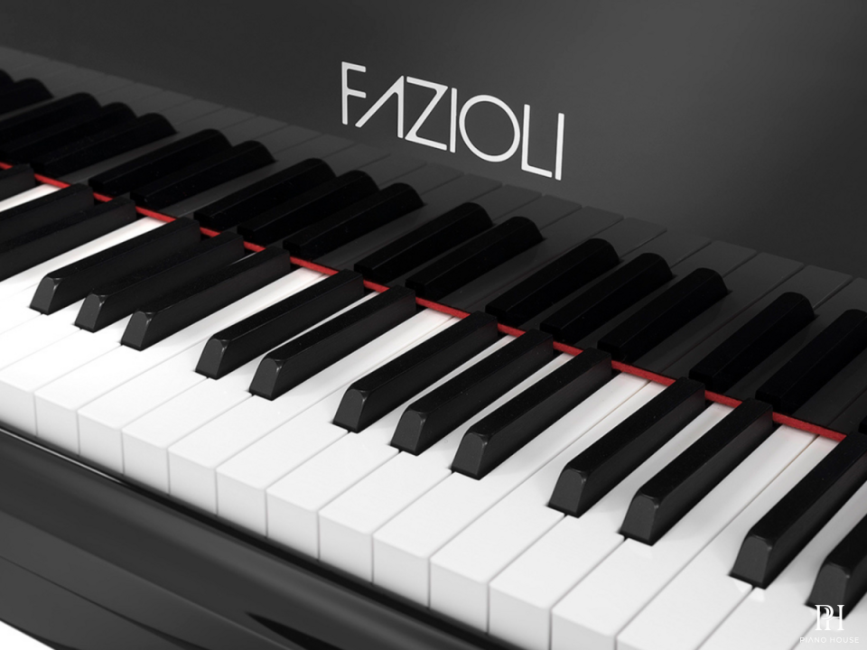 [SPECIAL] FAZIOLI SILVER