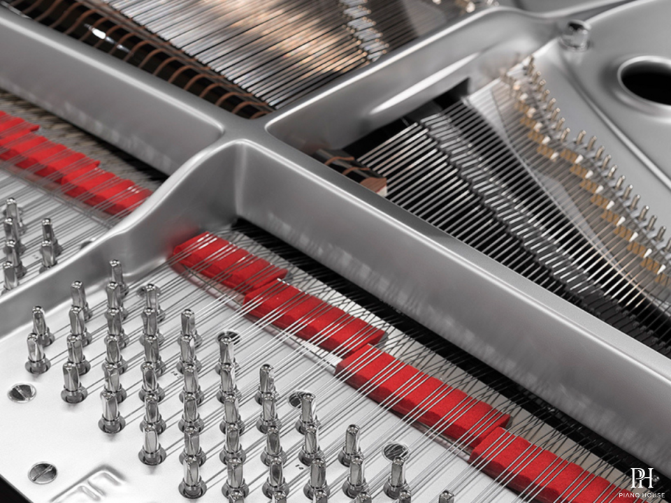 [SPECIAL] FAZIOLI SILVER