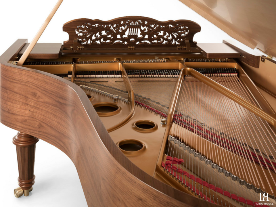 [SPECIAL] FAZIOLI WALNUT STRAUSS