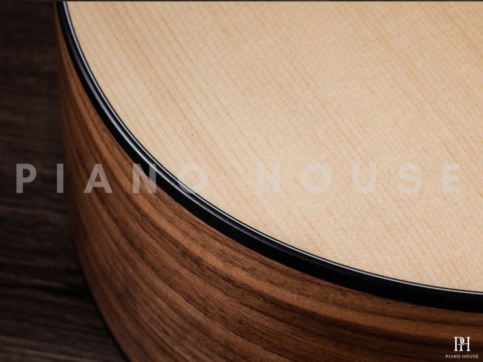 Taylor 110E