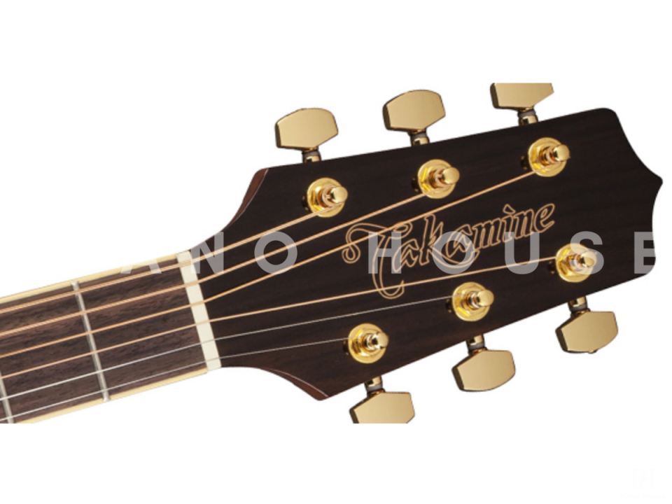 Takamine GN51CE-NAT
