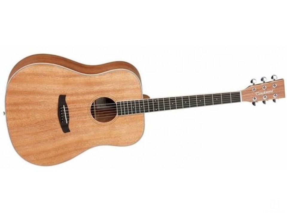 Tanglewood TWU-D