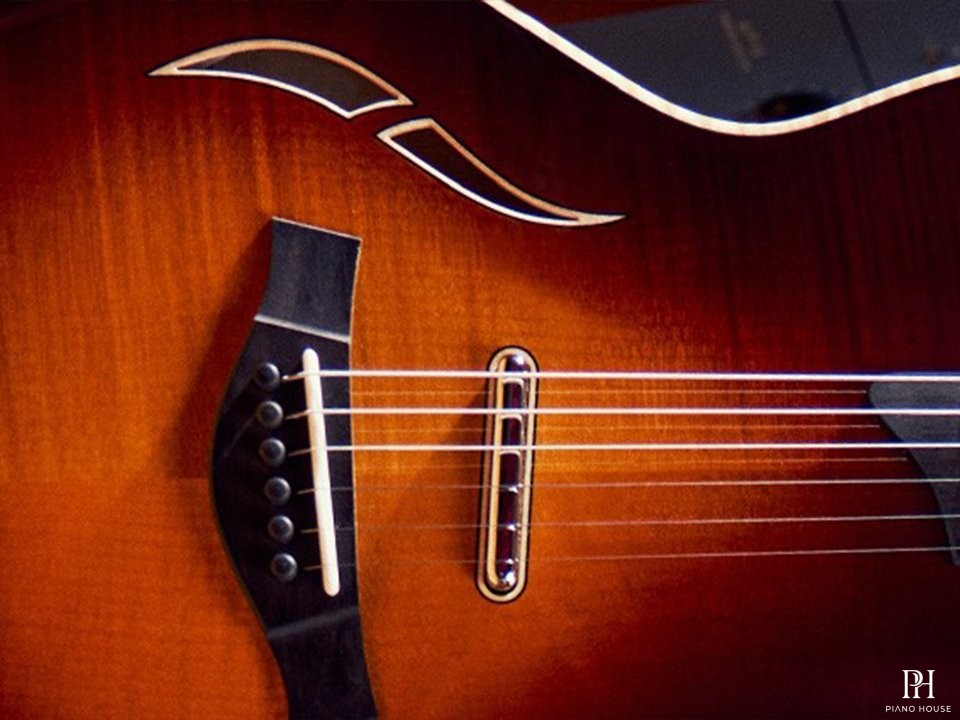 Taylor T5z Custom Koa