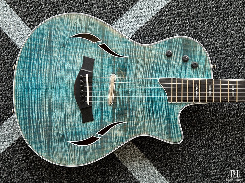 Taylor T5z Pro