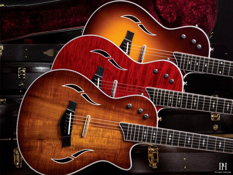 Taylor T5z Pro