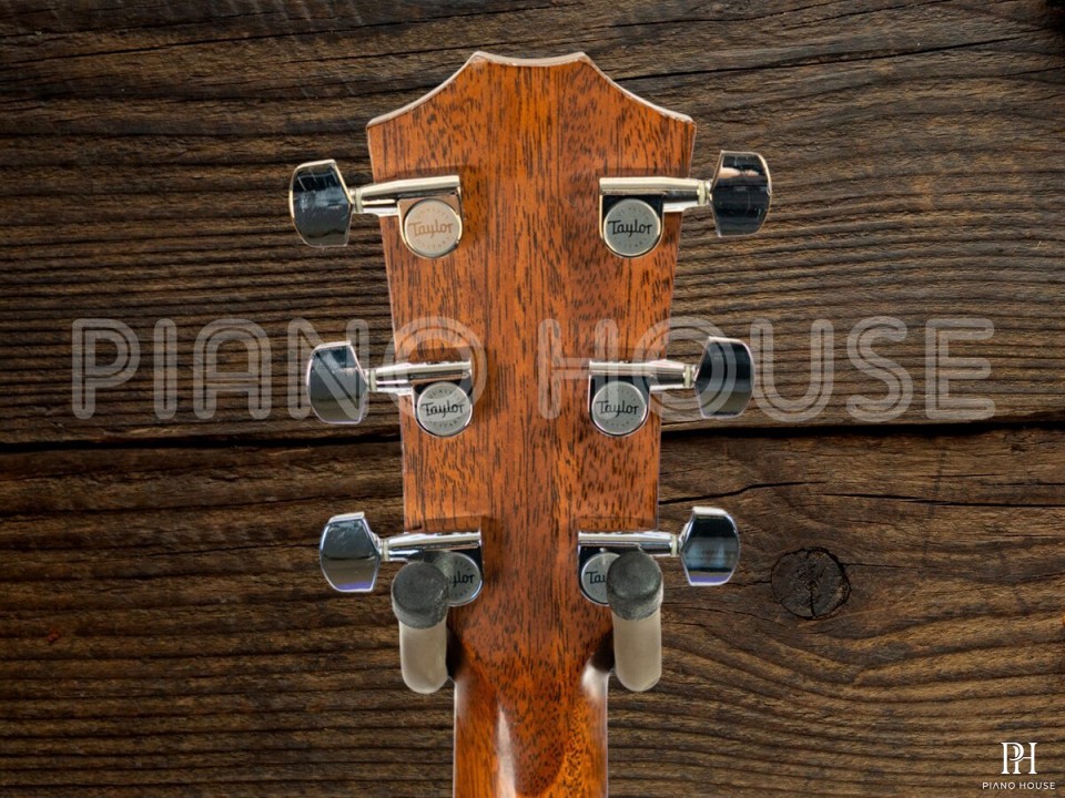 Taylor 310CE