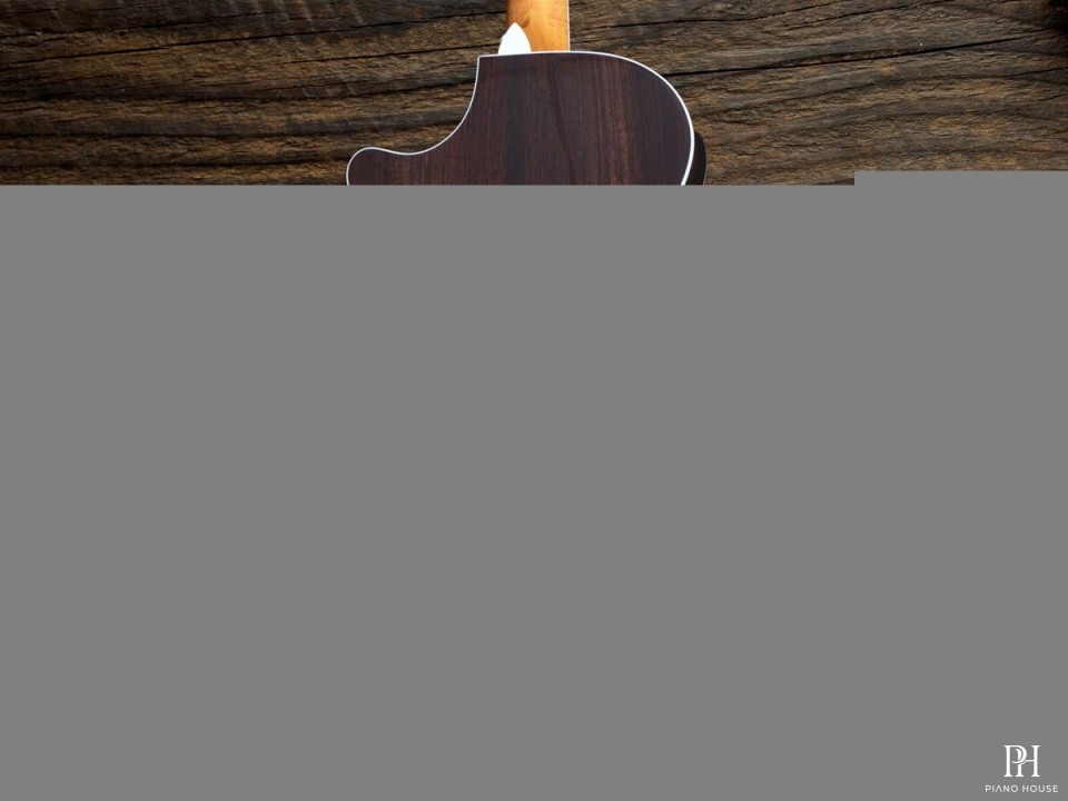 Taylor 418CE
