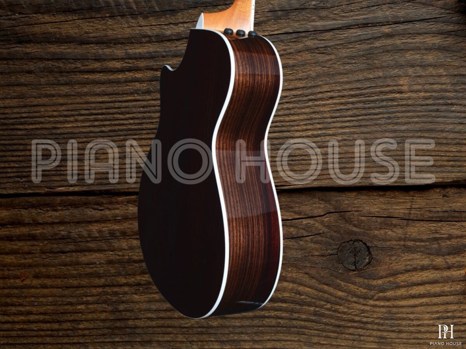 Taylor 418CE