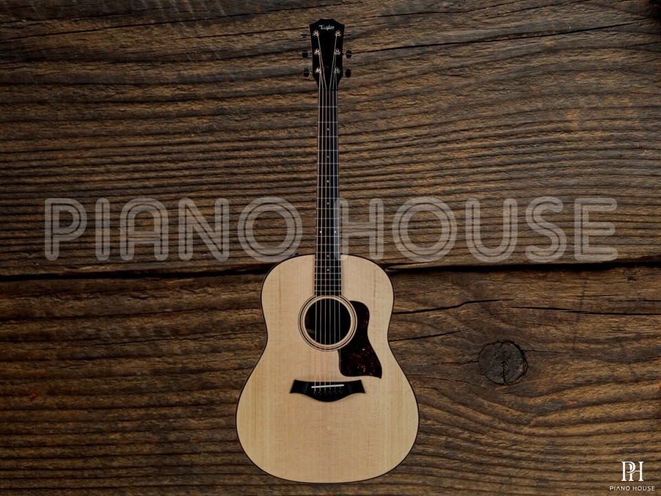Taylor AD17E