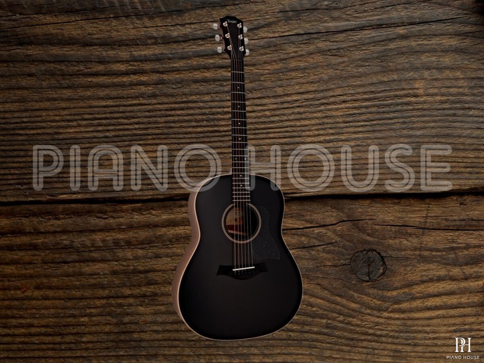 Taylor AD17E