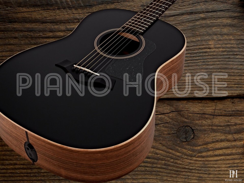 Taylor AD17E