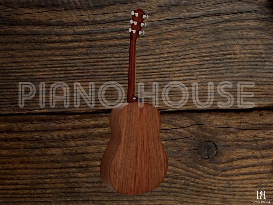 Taylor AD17E