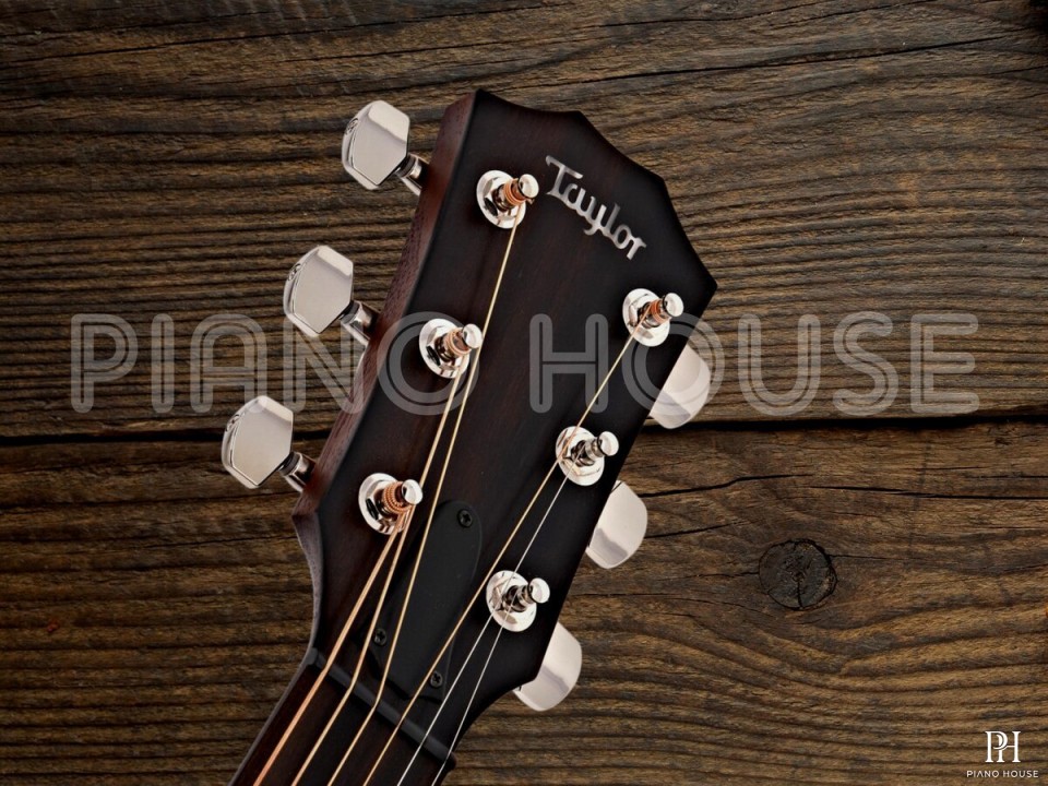 Taylor AD17E