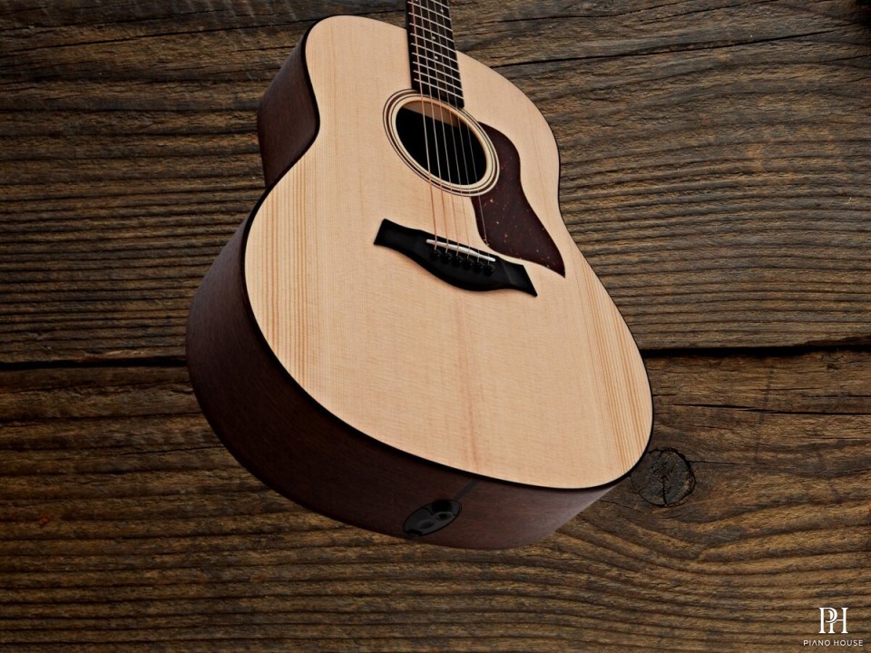 Taylor AD17E