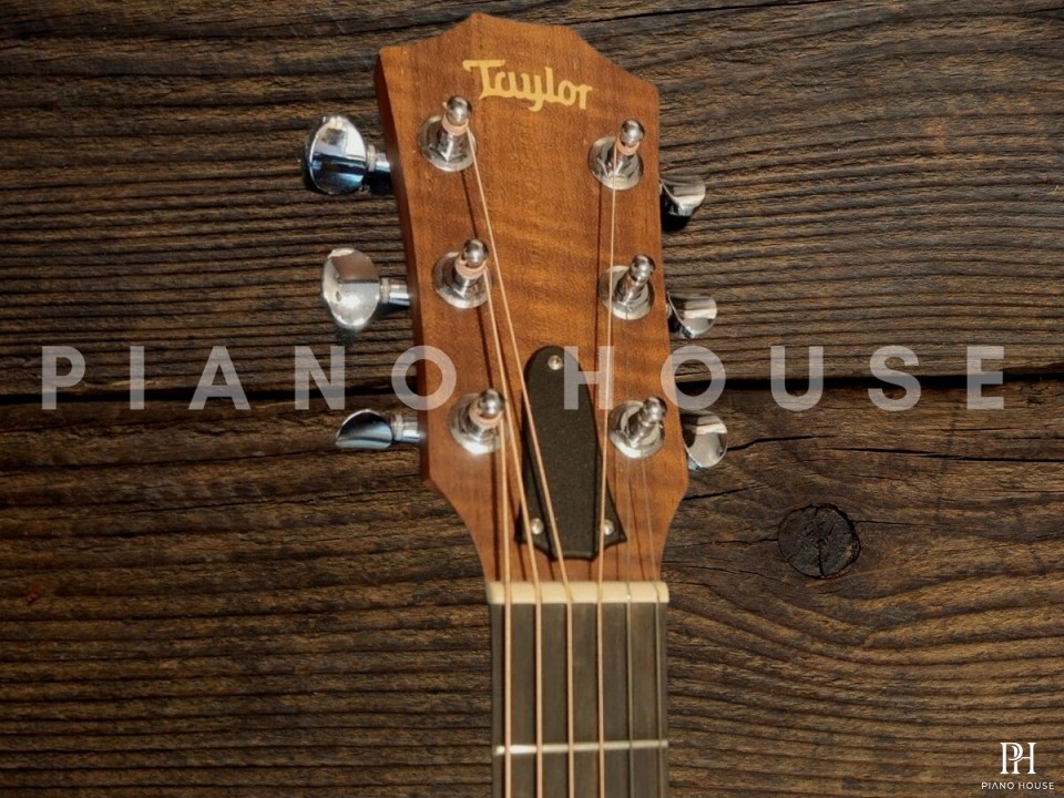 Taylor GS Mini-e Walnut
