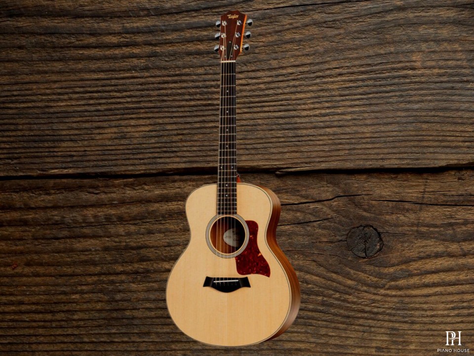 Taylor GS Mini-e Walnut
