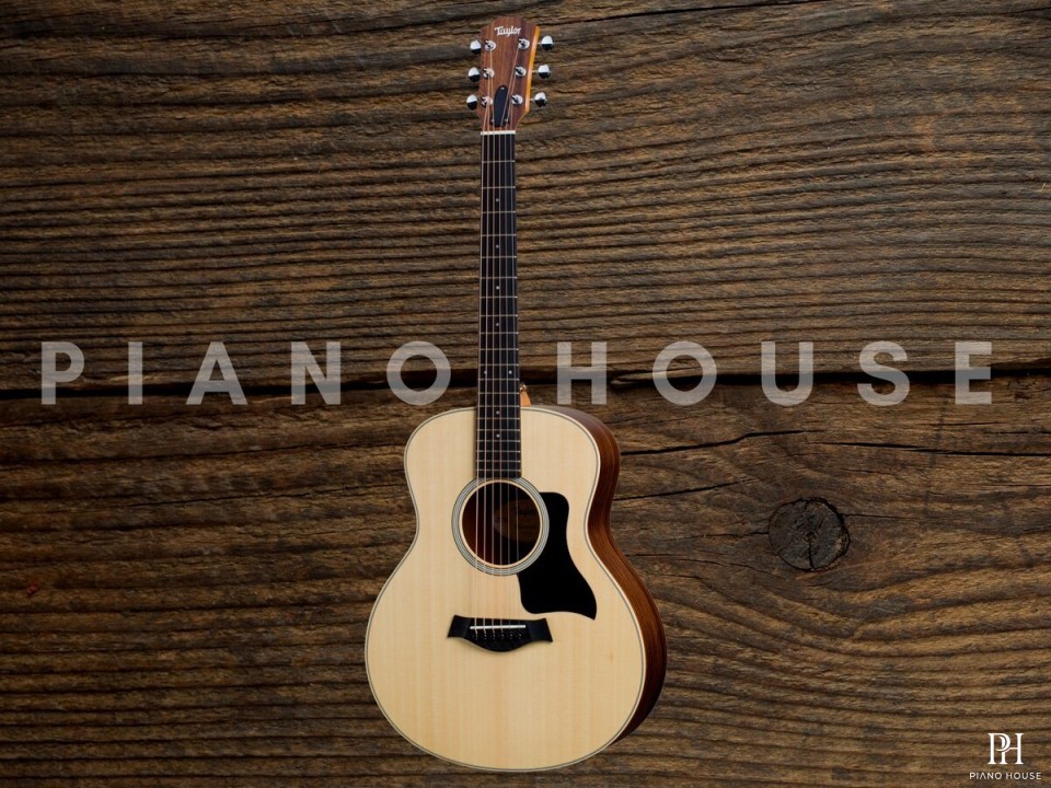 Taylor GSMINI E Rosewood