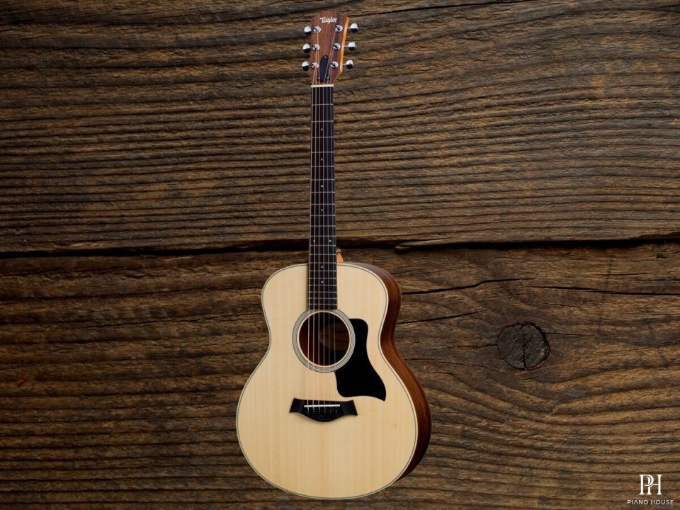 Taylor GSMINI E Rosewood