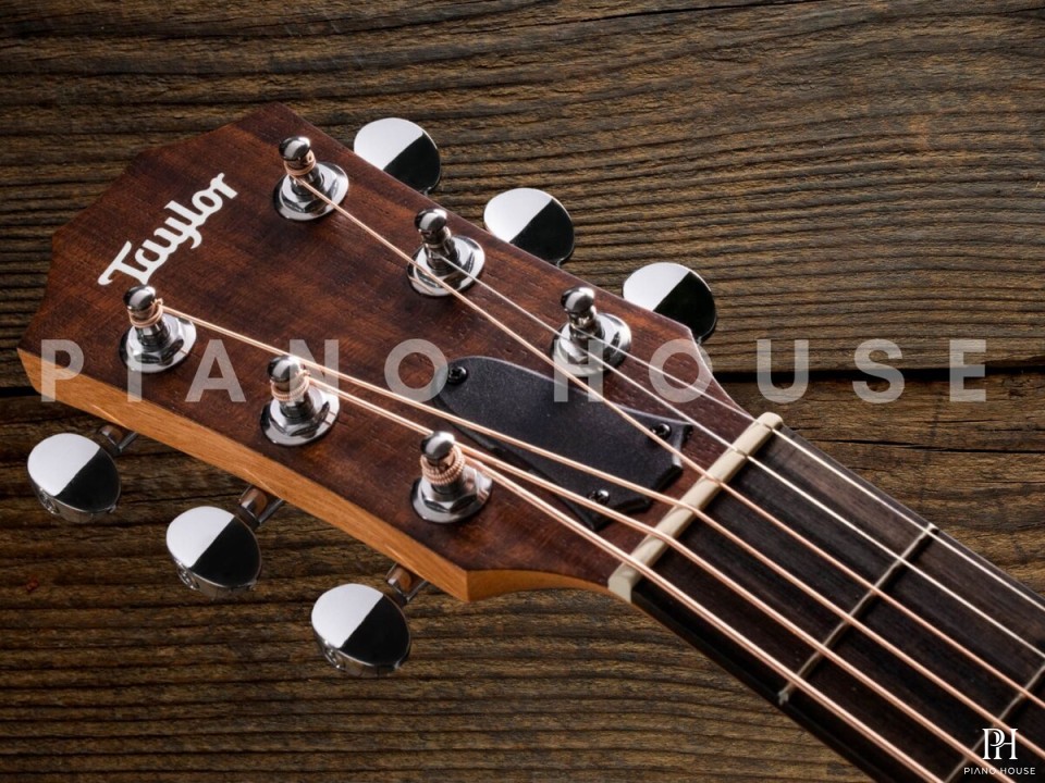 Taylor GSMINI E Rosewood