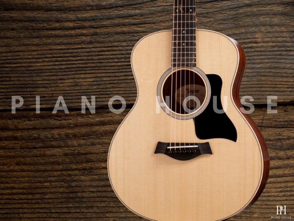 Taylor GSMINI E Rosewood