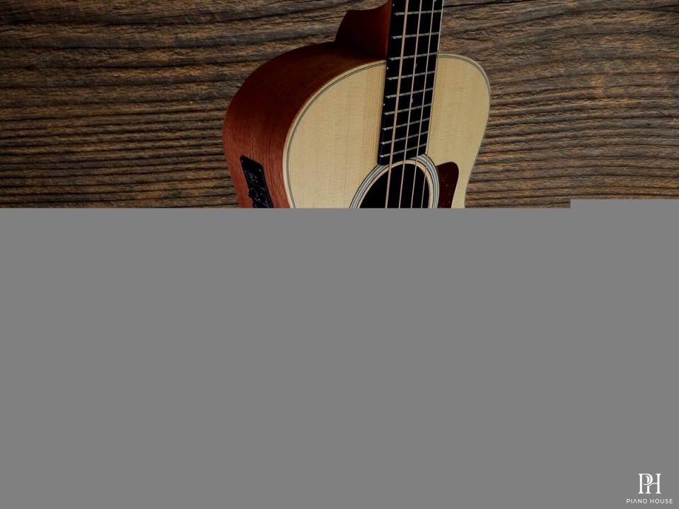 Taylor GSMini-e Bass