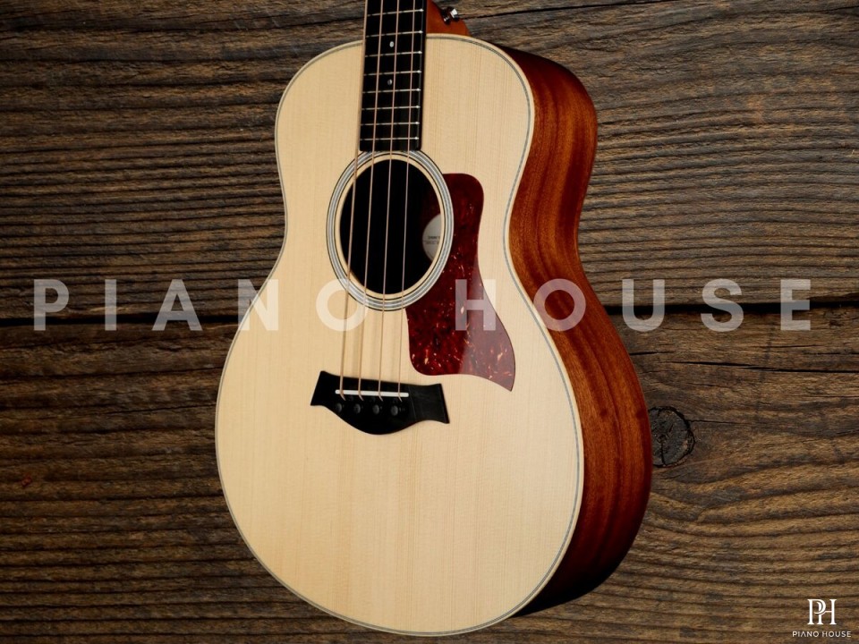 Taylor GSMini-e Bass