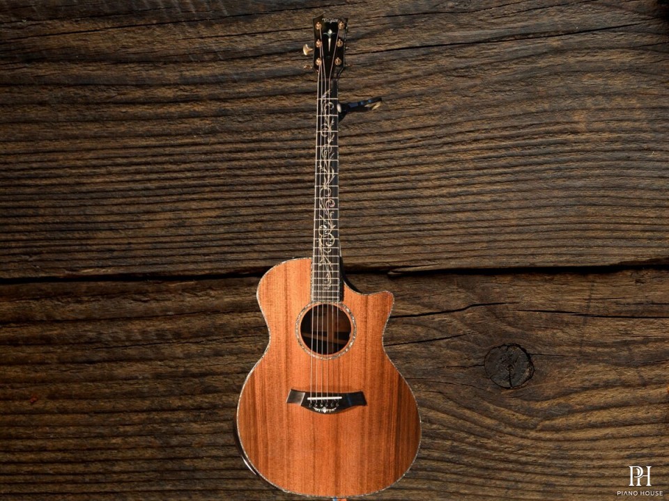 Taylor PS14CE, Macassar