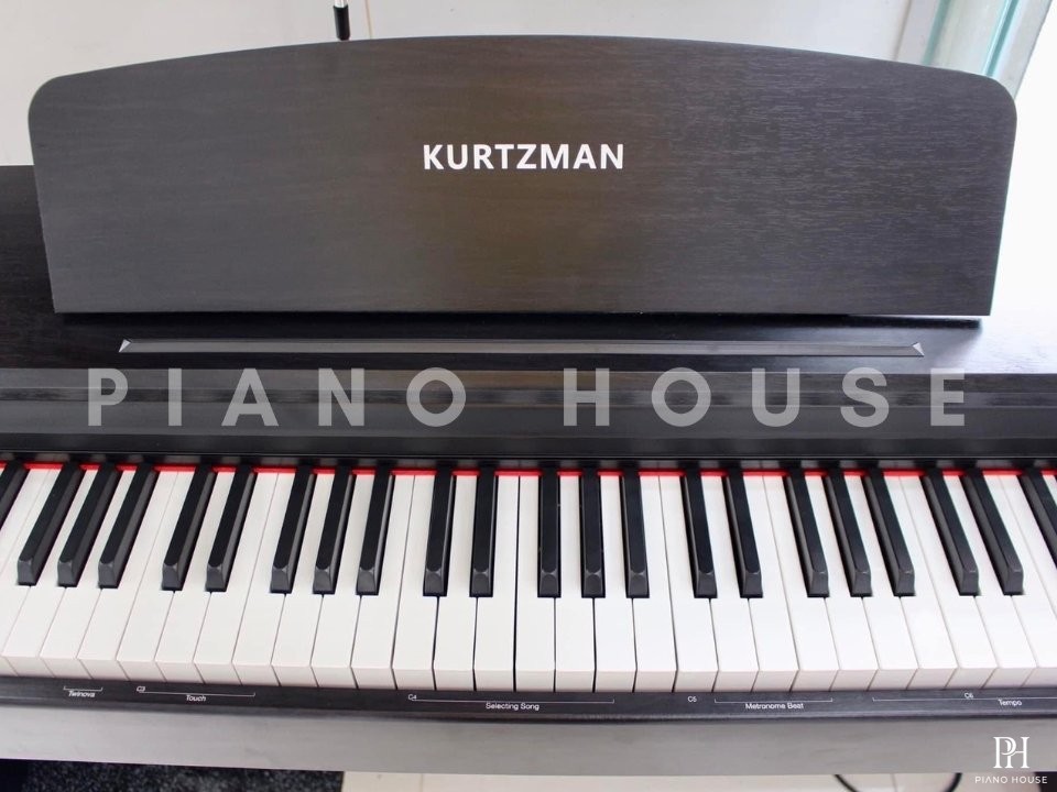 Kurtzman KS1 B