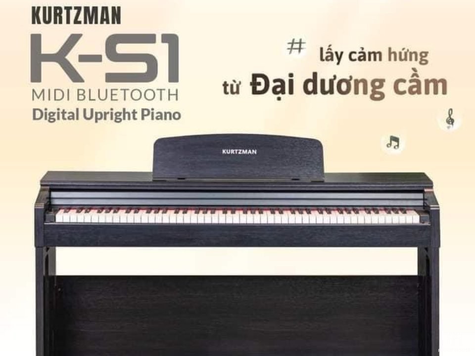 Kurtzman KS1 Brown Wood