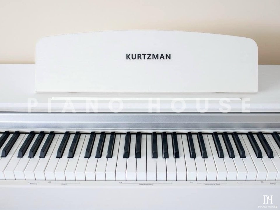 Kurtzman KS1 WH