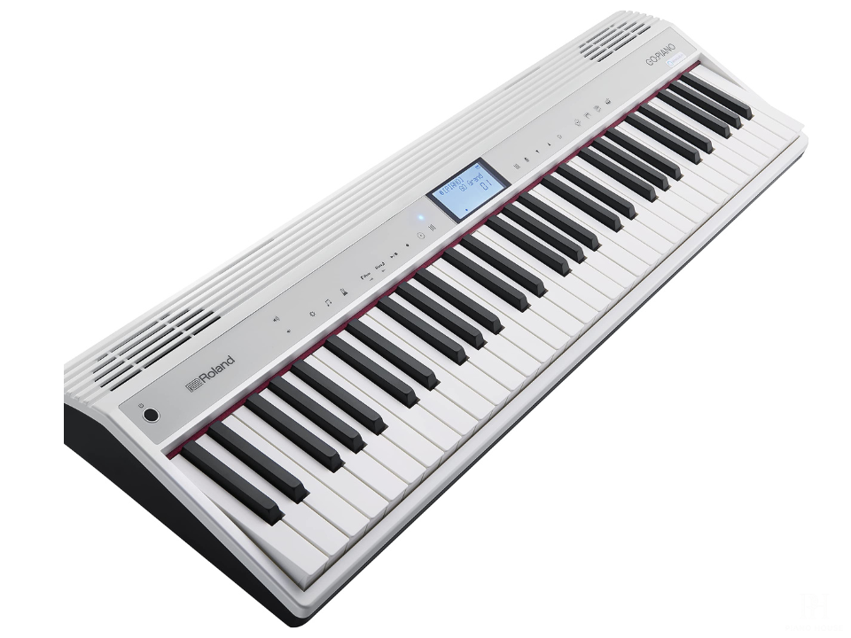 Roland GO-61