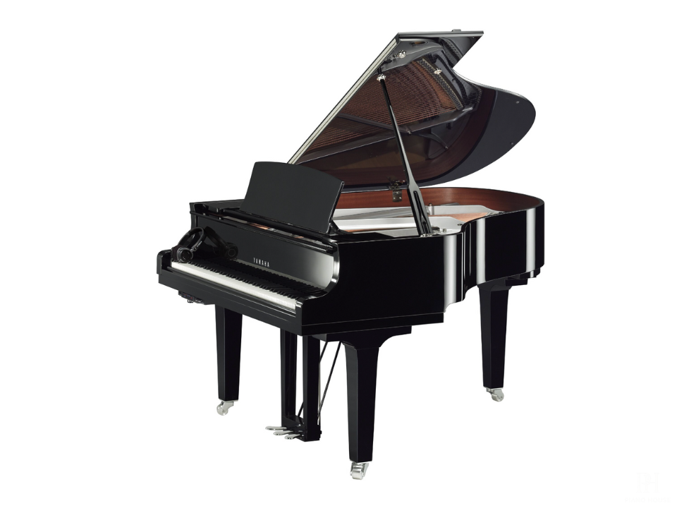 YAMAHA C2X Chrome SH3 (Limited Edition)