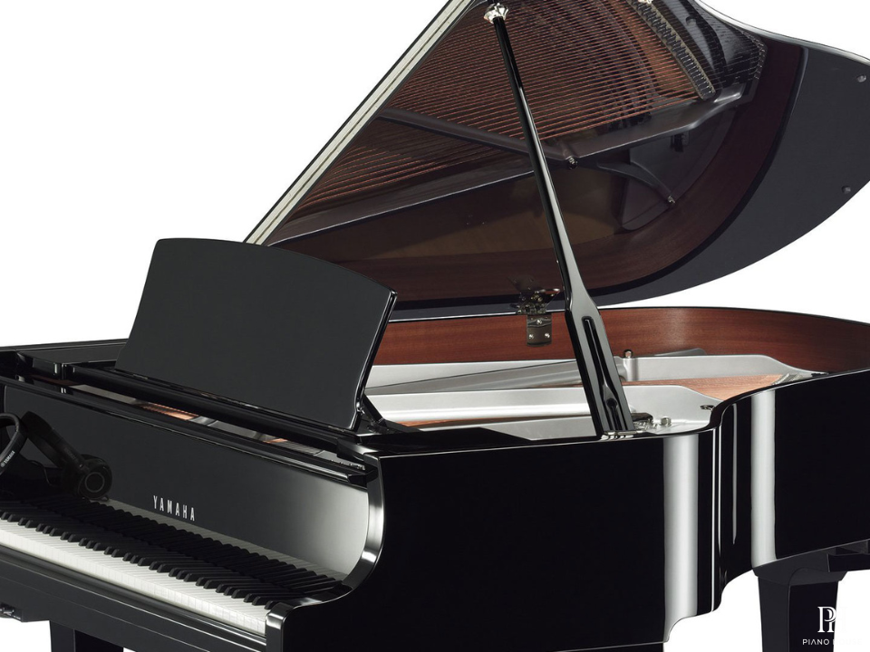 YAMAHA C2X Chrome SH3 (Limited Edition)