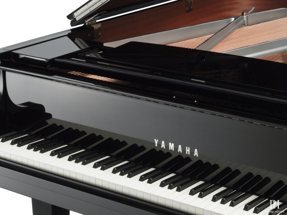 YAMAHA C2X Chrome SH3 (Limited Edition)