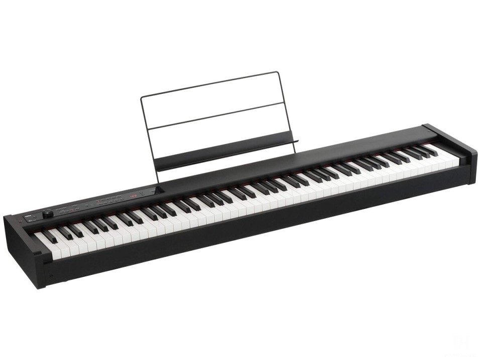Korg D1