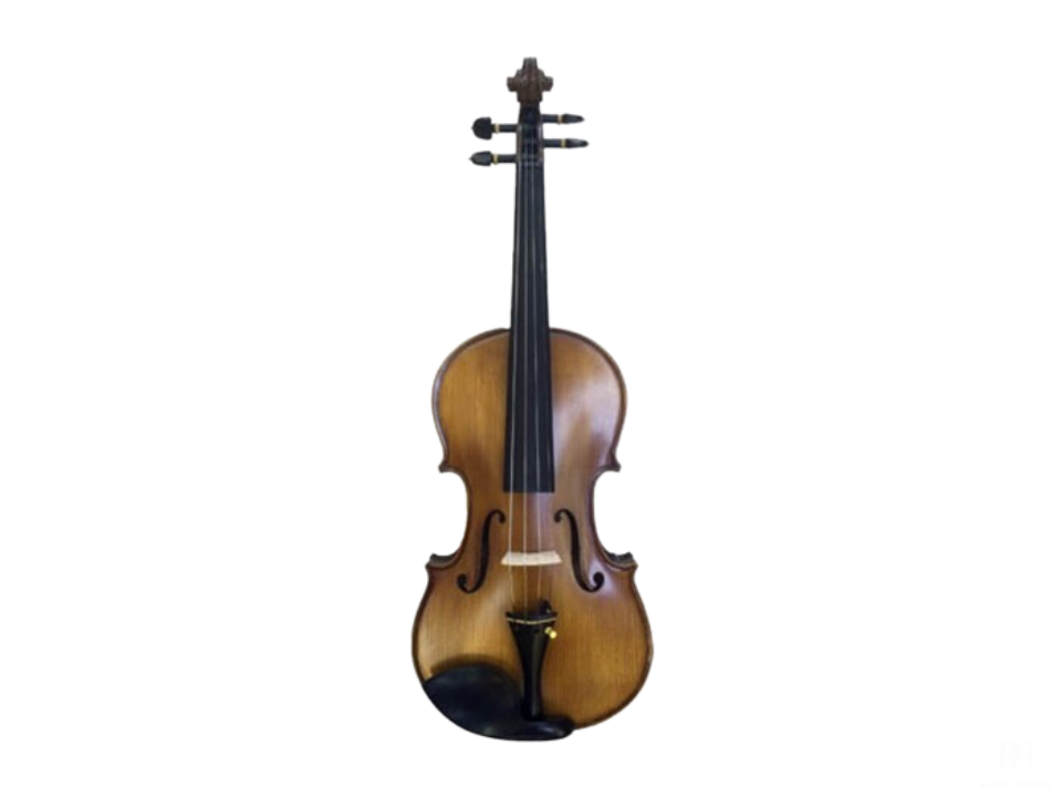Violin Scott & Guan STV 012 size 4/4
