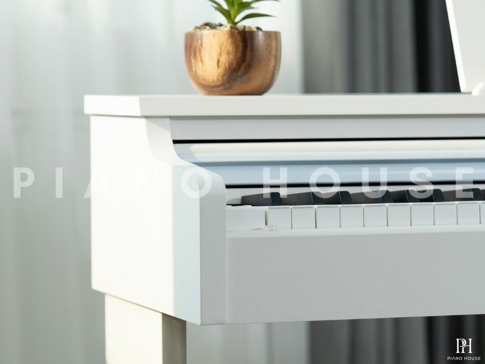 Apollo DP-66 (WH)