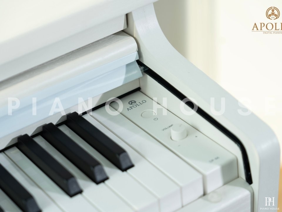 Apollo DP-66 (WH)