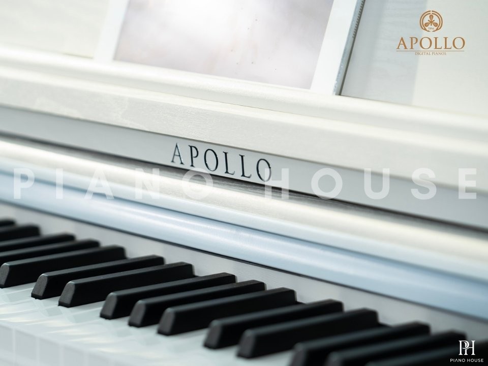 Apollo DP-66 (WH)