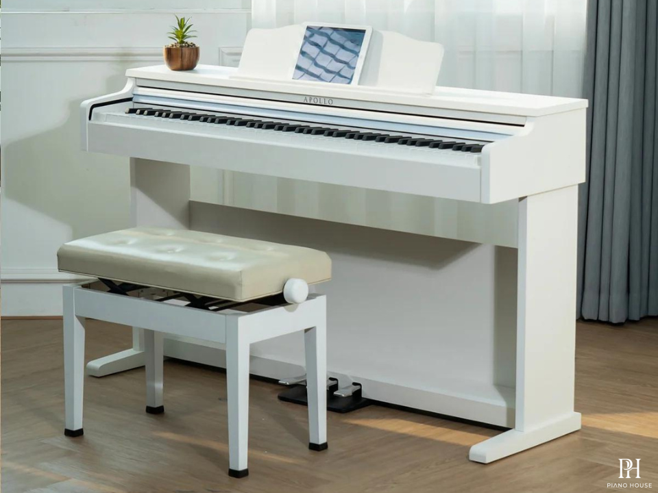 Apollo DP-66 (WH)