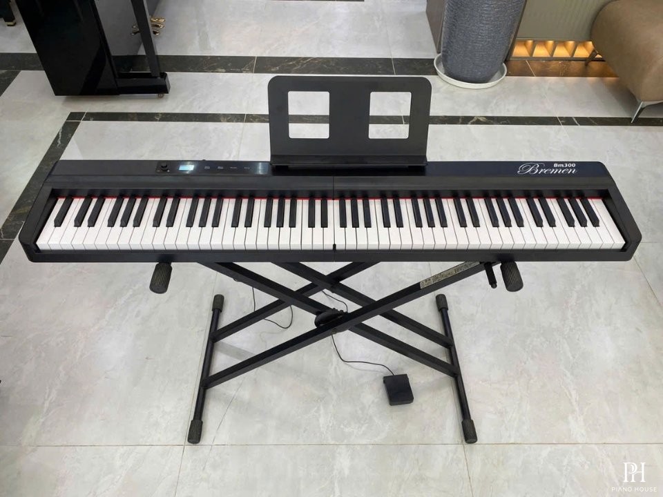 Bremen BM300